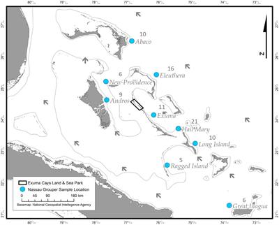 RAD-Seq Analysis and in situ Monitoring of Nassau Grouper Reveal Fine-Scale Population Structure and Origins of Aggregating Fish